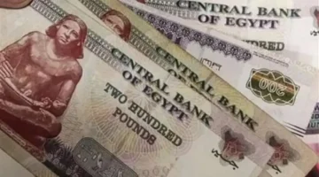 المالية تحدد 5 أيام لصرف مرتبات مارس لجميع الهيئات والوزارات منعا للزحام